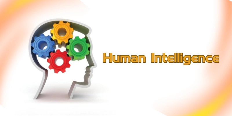Human intelligence