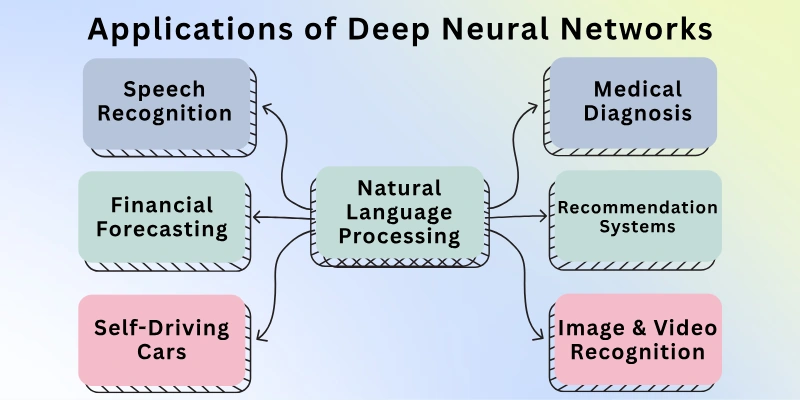 Applications of Deep Neural Networks