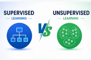 Supervised vs Unsupervised Learning: Key Differences