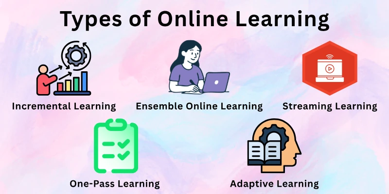 Types of Online Learning