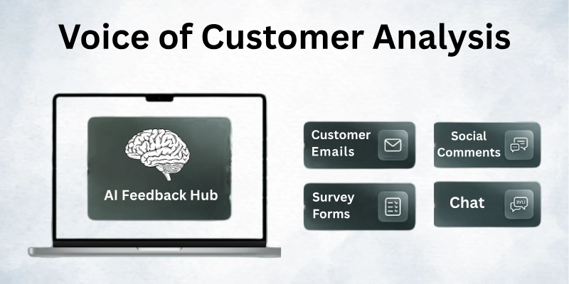 Voice of customer analysis