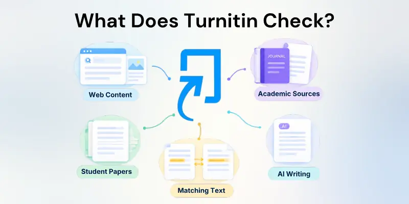 What Does Turnitin Check?