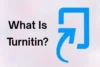 What Is Turnitin? Complete Guide for Students - Post Thumbnail